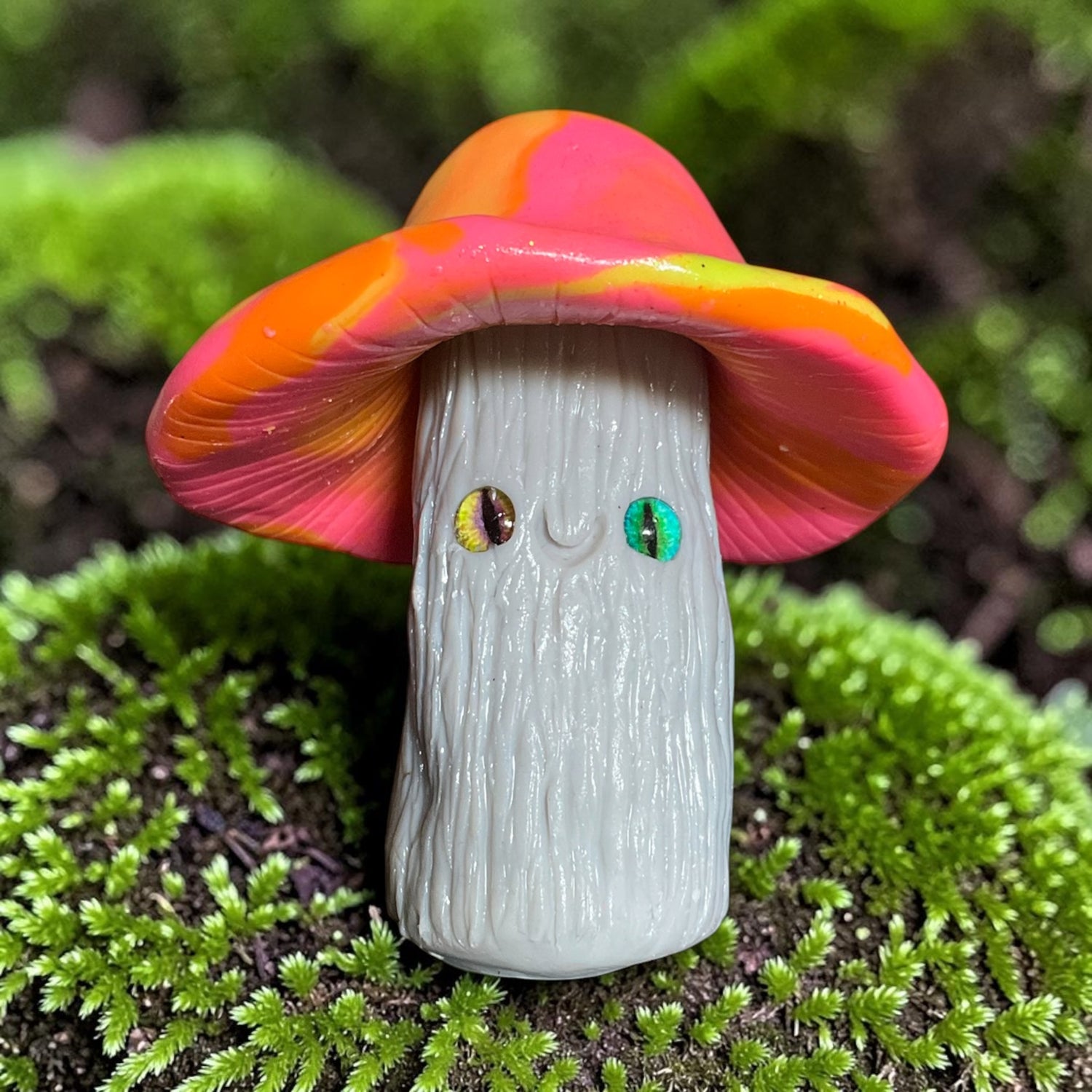 Mushroom Collection ✨🍄